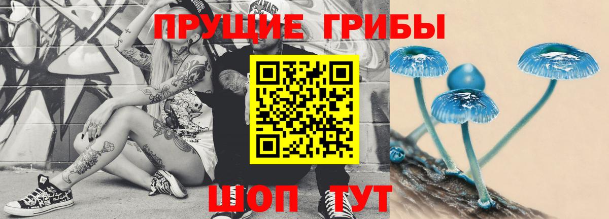 Псилоцибиновые грибы мухоморы  Псилоцибиновые грибы мухоморы  купить наркотики сайты  Чернушка  Вход с VPN 